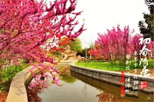 洛阳涧西区好玩的景点,洛阳郑州好玩的景点推荐