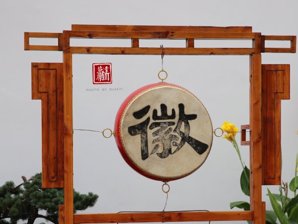 准备好你的心跳与尖叫，带你玩转合肥万达乐园