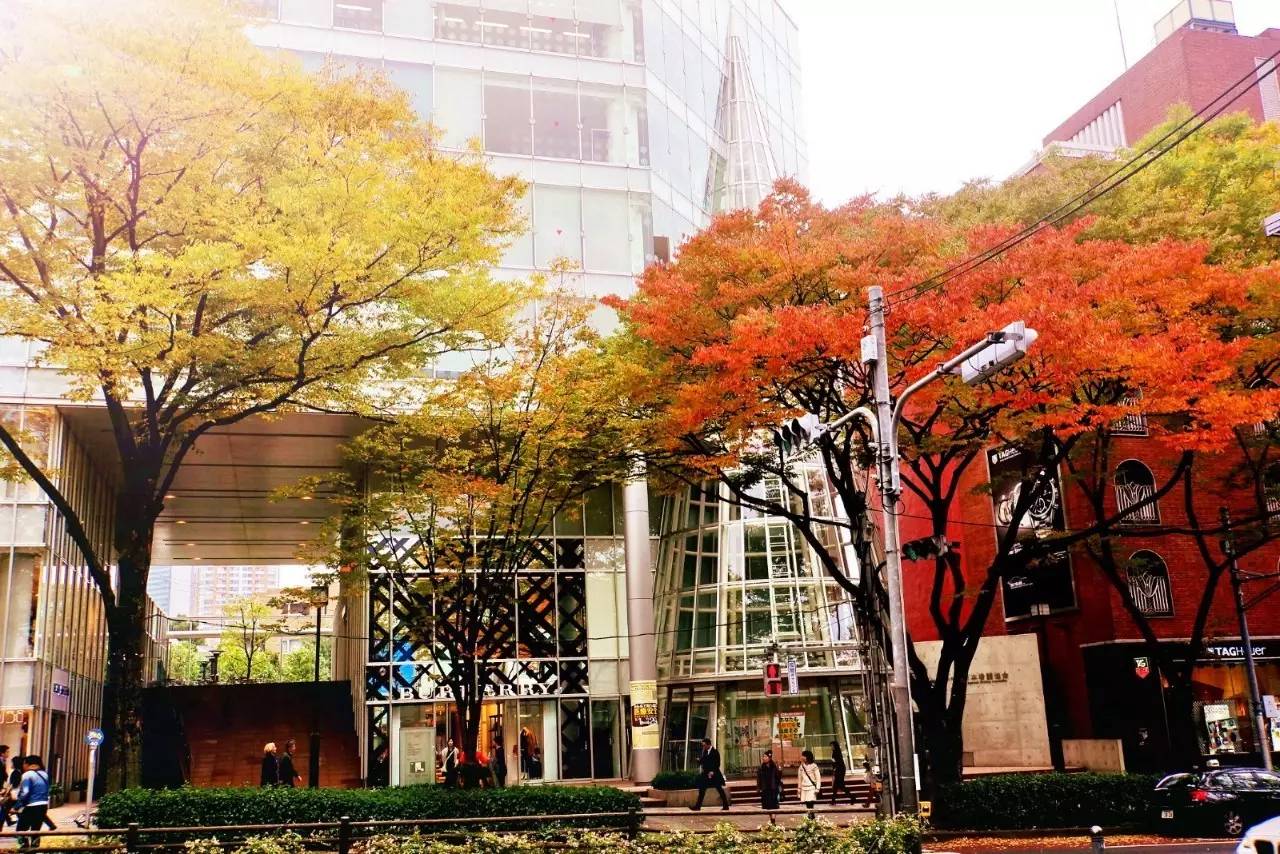 东京旅游必买的十大景点,东京购物必买排行榜