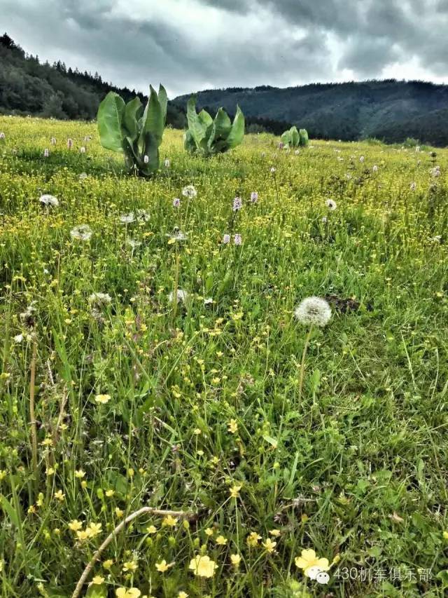 跨越五省，骑行香格里拉等地，他们用这样的方式宣传肇庆！