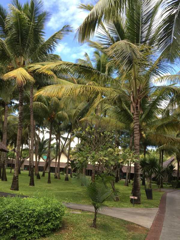 印度洋中的蜜月胜地毛里求斯,毛里求斯旅行的天堂