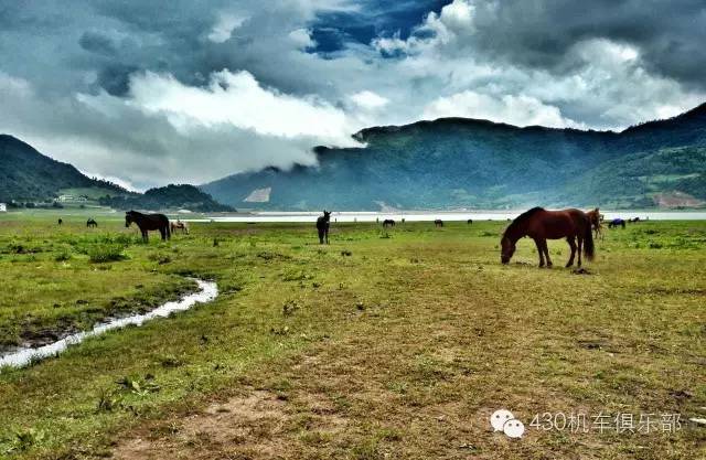 跨越五省，骑行香格里拉等地，他们用这样的方式宣传肇庆！