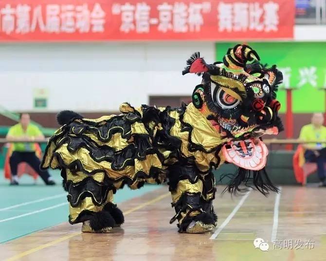 高明世界冠军,世界冠军是不是都要有天分