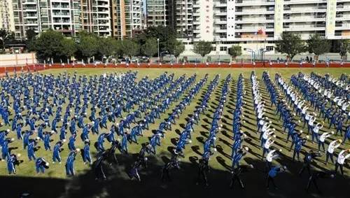 尝鲜全市16所小学率先体验东莞本土《足球》教材