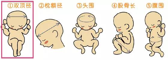 准妈妈看过来免费观看,准妈妈检查表