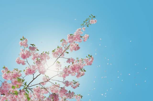 如果你不谨慎被烫伤了怎么办,烫伤之后你该怎么做