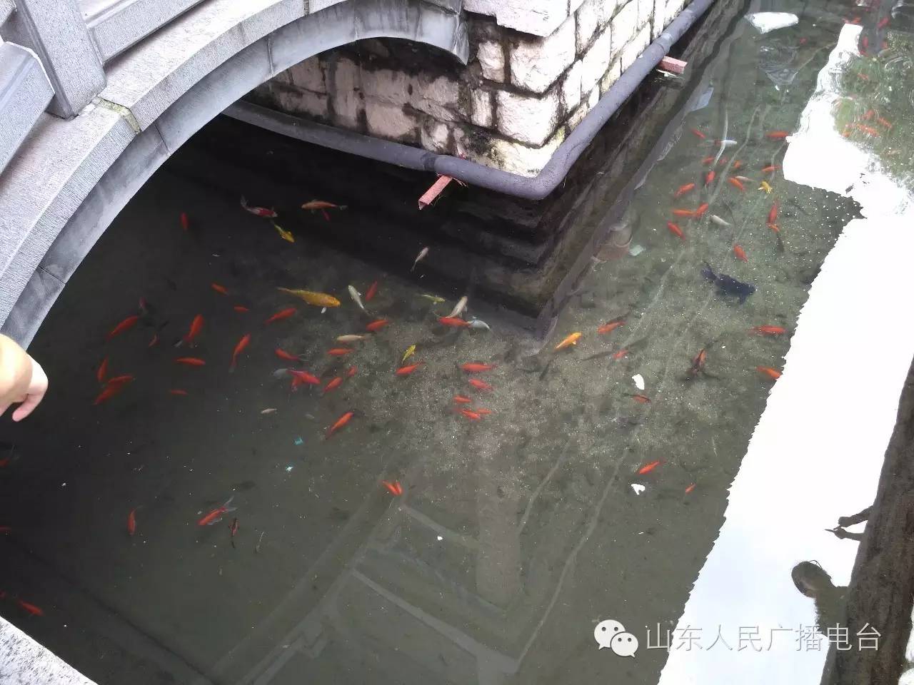 五龙潭泼水节，全家一起嗨翻天