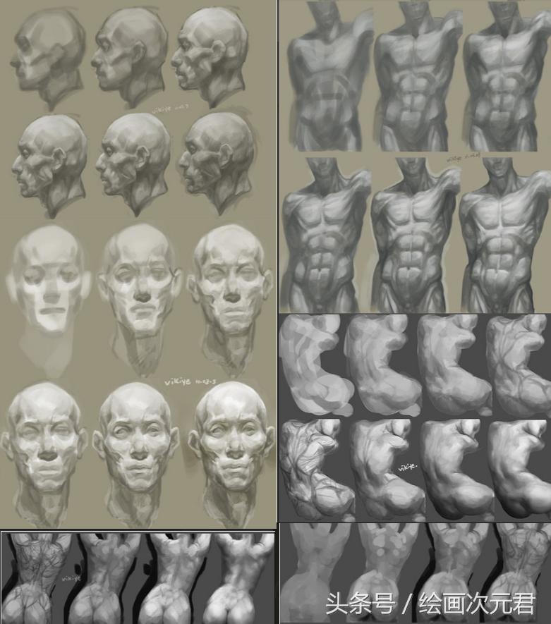 人体结构动态,动态素描·人体结构