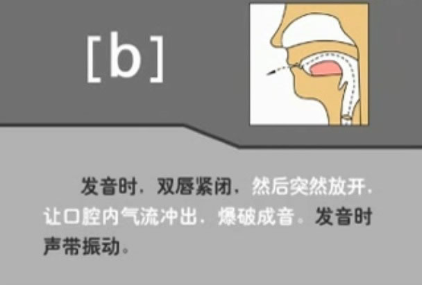 音标表48个国际音标发音教学视频,英语美式音标48个音标谐音图