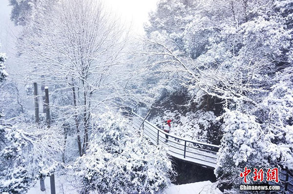 寒潮来袭全省将迎来断崖式降温,20多省份遭寒潮速冻降温超10度