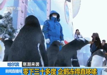 寒潮来袭全省将迎来断崖式降温,20多省份遭寒潮速冻降温超10度