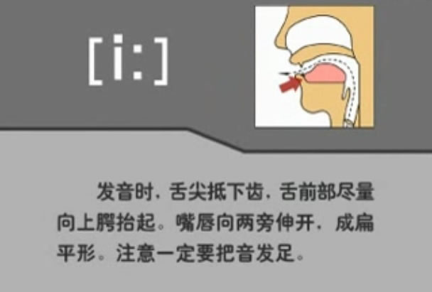 音标表48个国际音标发音教学视频,英语美式音标48个音标谐音图