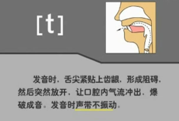 音标表48个国际音标发音教学视频,英语美式音标48个音标谐音图