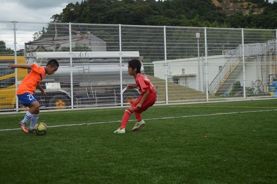 你怎么喜欢上足球的,你是怎么爱上足球的