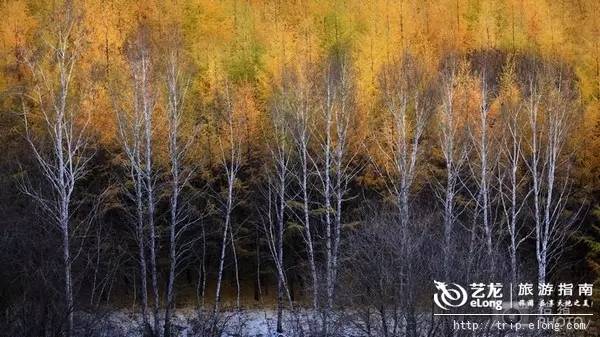 秋天来了该好好生活,秋天来了又该准备秋装了