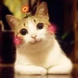 成都有好点儿大嘛？我不敢说