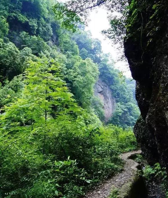 成都附近适合秋游的地方,成都秋游好去处