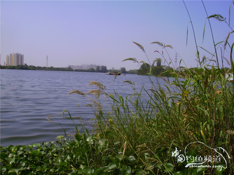 民间特色钓法,径河野钓地点