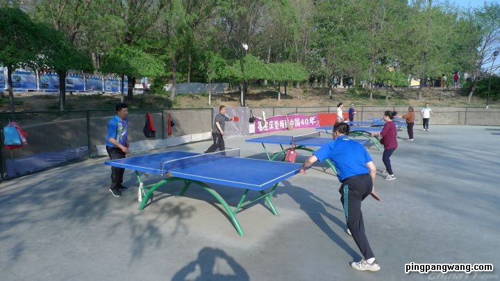打好乒乓球的关键在哪里,想打好乒乓球其实并不容易