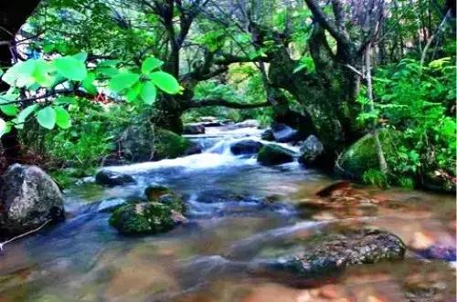 洛阳涧西区好玩的景点,洛阳郑州好玩的景点推荐
