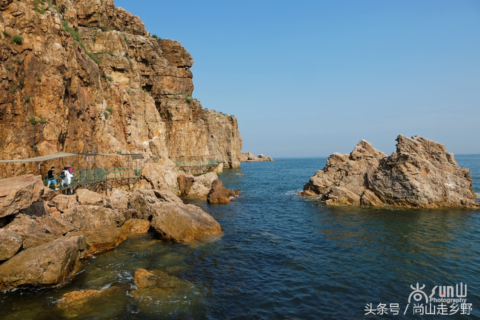 这座没有居民的小岛，是海鸥的王国，为何却叫海驴岛？