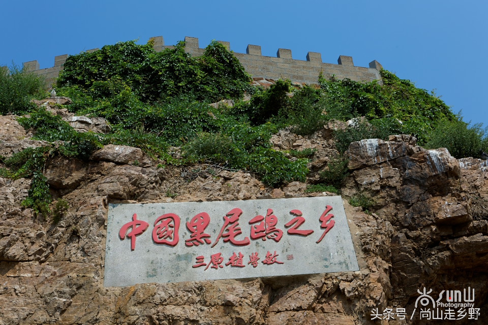 这座没有居民的小岛，是海鸥的王国，为何却叫海驴岛？