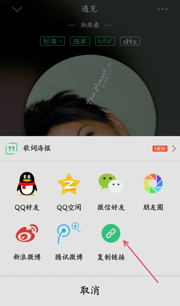 怎么用头条极速版发视频赚钱,头条音乐怎么下载然后在车里播放