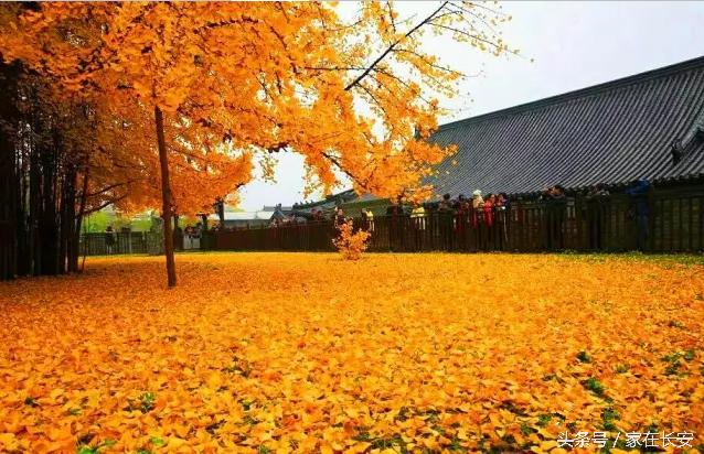 西安长安区关中环线游玩,西安旅游攻略长安区