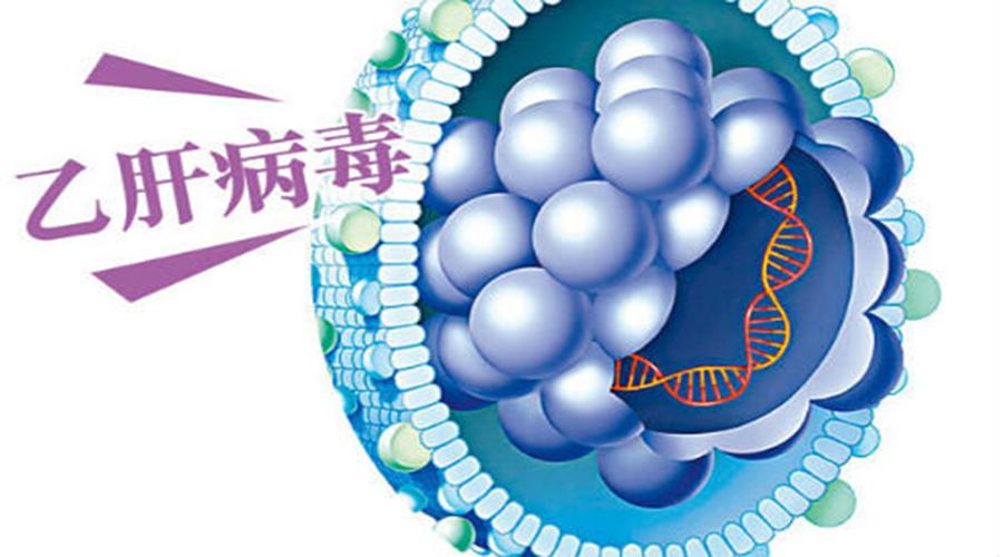 乙肝peg疗法,msc治疗乙肝