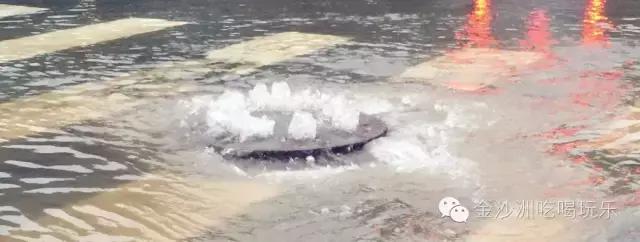 金沙洲哪里有水浸,金沙洲水浸吗