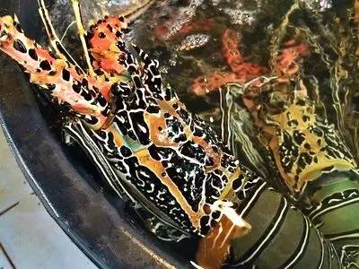 月薪3000的tiffany蓝钻岛