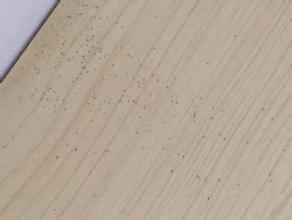 木材里面的蛀虫怎么办？八大方法助你灭虫！