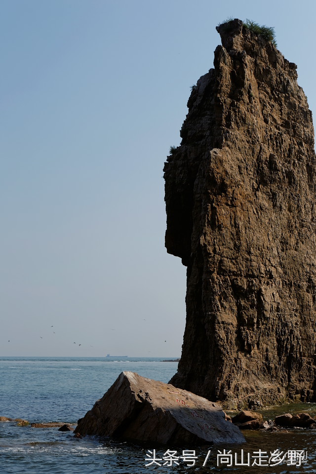 这座没有居民的小岛，是海鸥的王国，为何却叫海驴岛？