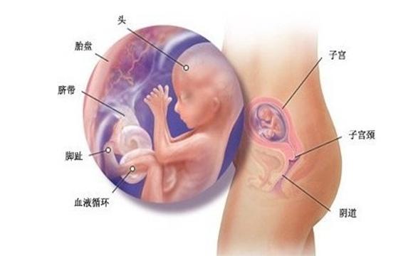 人流能做么？这些问题，医生都不一定告诉你！