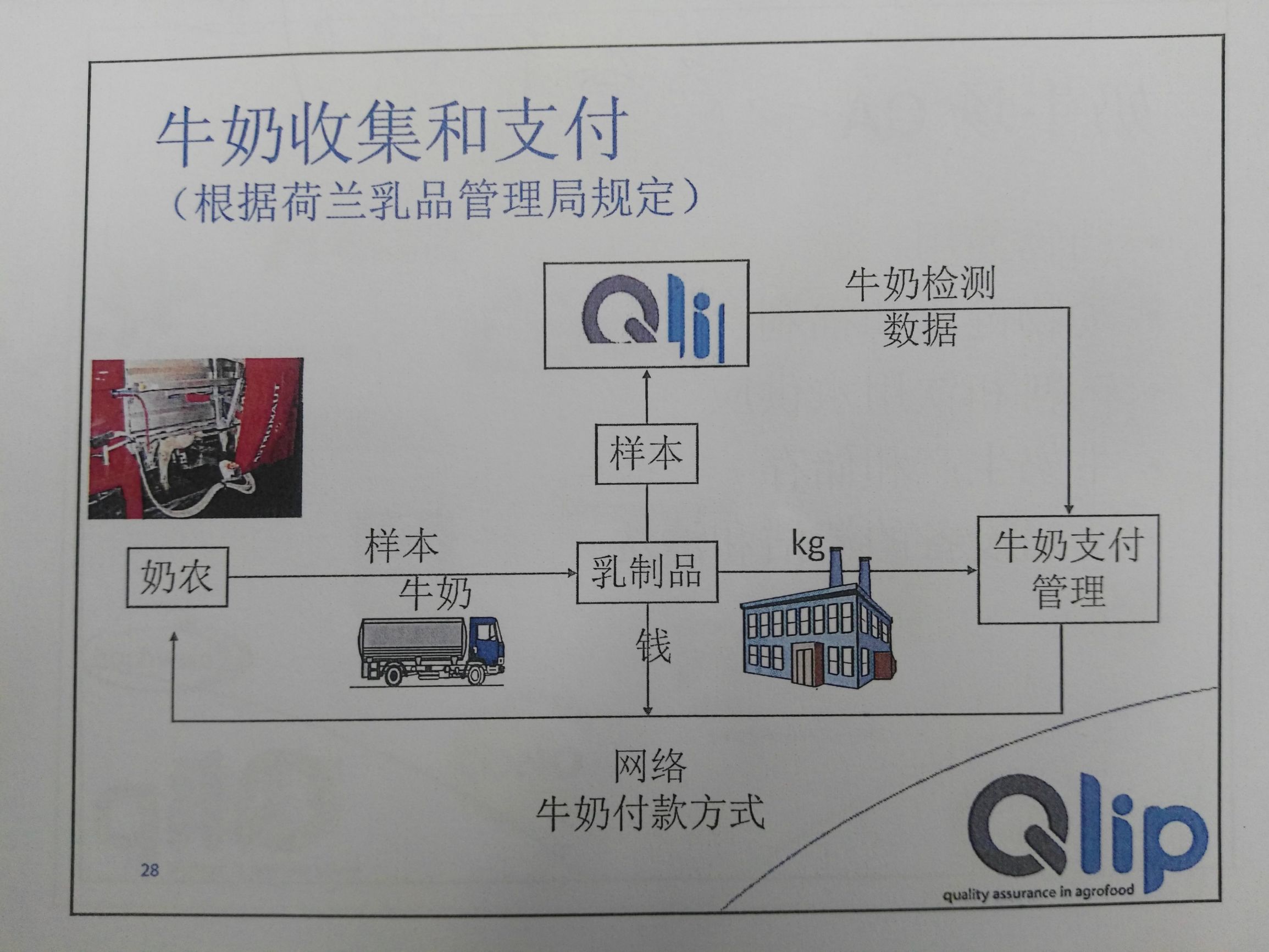 荷兰奶源为什么那么好,乳制品最好的是荷兰吗