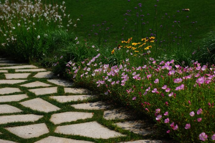 辰山植物园旱溪花境,上海辰山植物园珍稀植物
