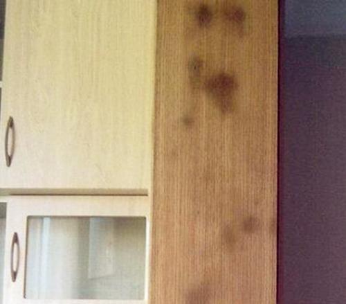 门套里面发霉怎么处理,家里门框发霉了怎么处理