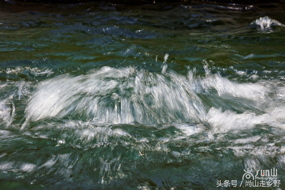 这眼泉好神奇！用泉水洗眼，少年不近视，老者不花眼！