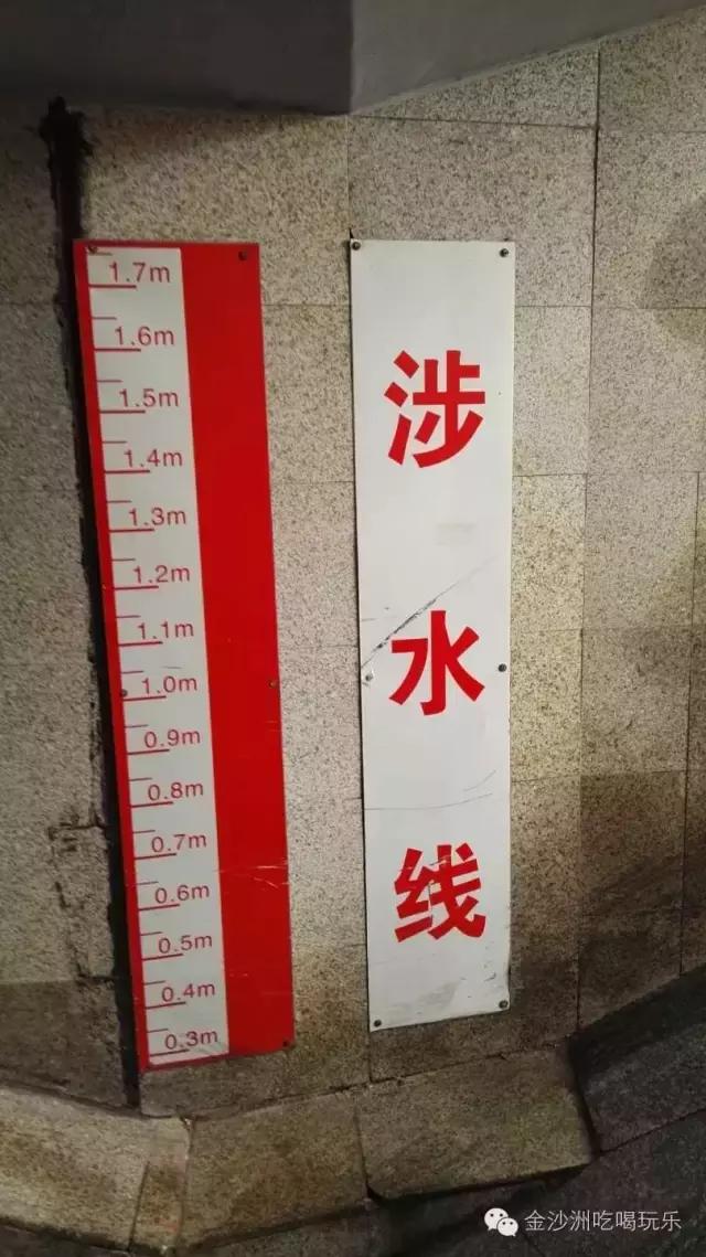 金沙洲哪里有水浸,金沙洲水浸吗