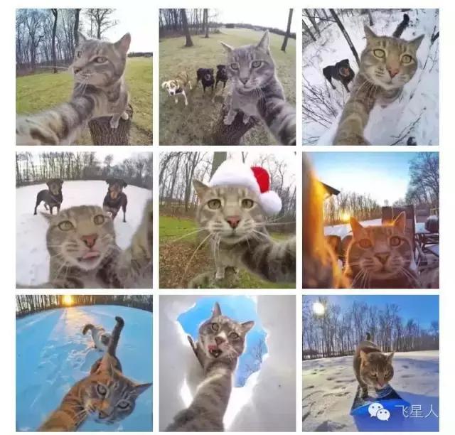 航拍怎么拍gif,动态航拍技巧和方法视频