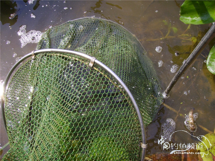 民间特色钓法,径河野钓地点