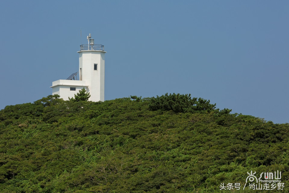 这座没有居民的小岛，是海鸥的王国，为何却叫海驴岛？
