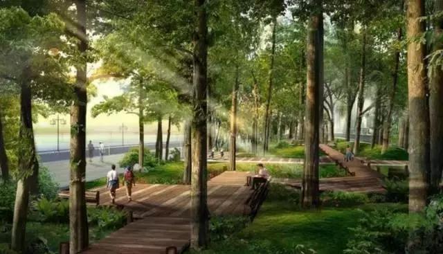 成都五年后会是怎么样,五年后的成都美景