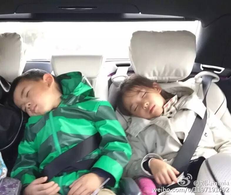 扒一扒原生家庭,扒一扒明星的家