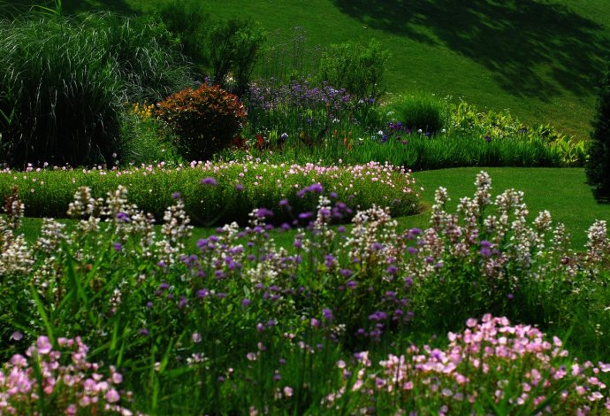 辰山植物园旱溪花境,上海辰山植物园珍稀植物