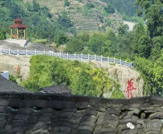 柘荣县旅游必去十大景点,柘荣县楮坪乡景点