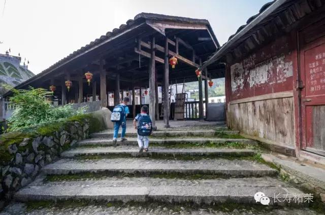 柘荣县旅游必去十大景点,柘荣县楮坪乡景点