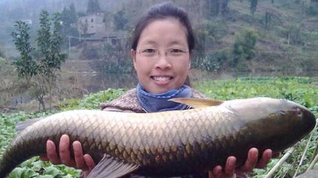 让农民赚钱的项目,农民致富的4个真实案例