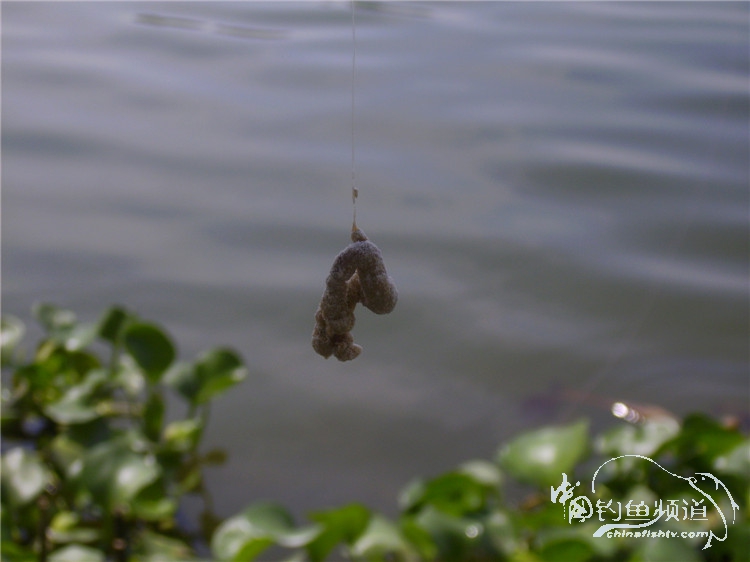 民间特色钓法,径河野钓地点