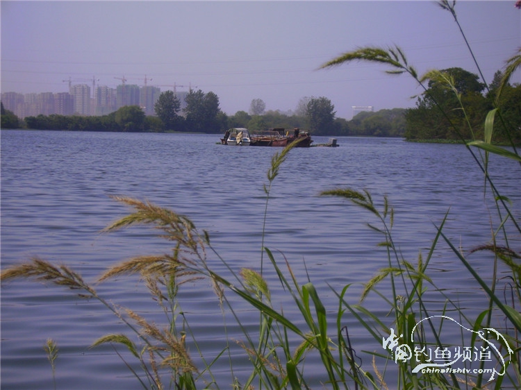 民间特色钓法,径河野钓地点